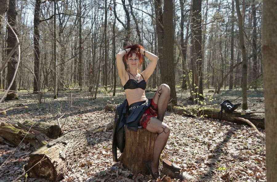 In Spring Forest on the Stomp 2