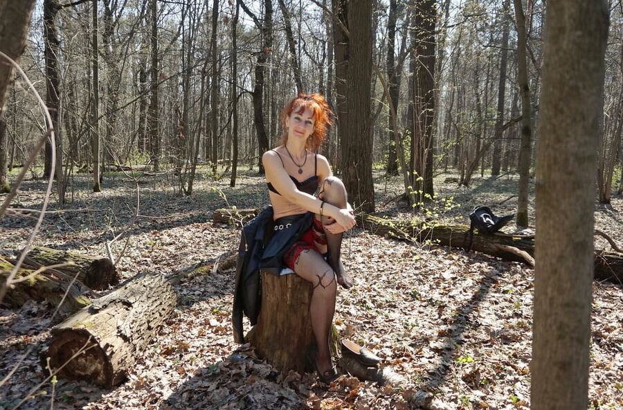 In Spring Forest on the Stomp 2