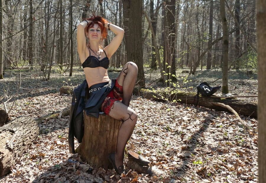 In Spring Forest on the Stomp 2