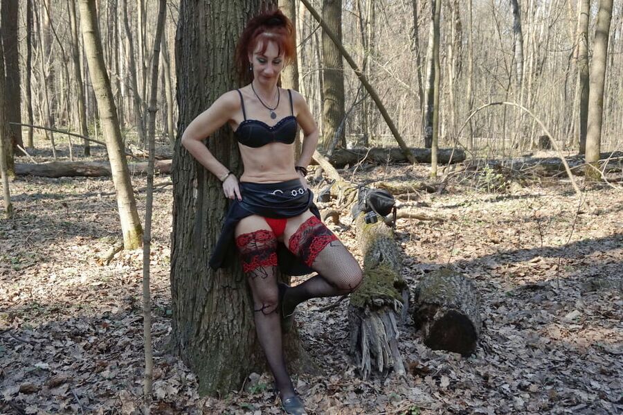 In Spring Forest near Tree