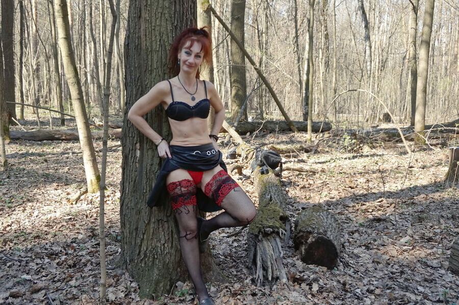 In Spring Forest near Tree