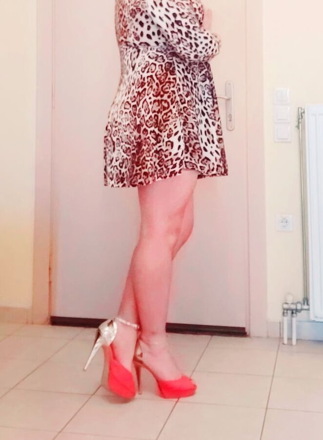 New 19