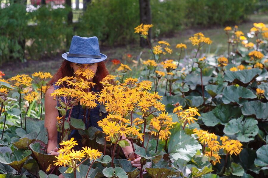 In orange flowers 1