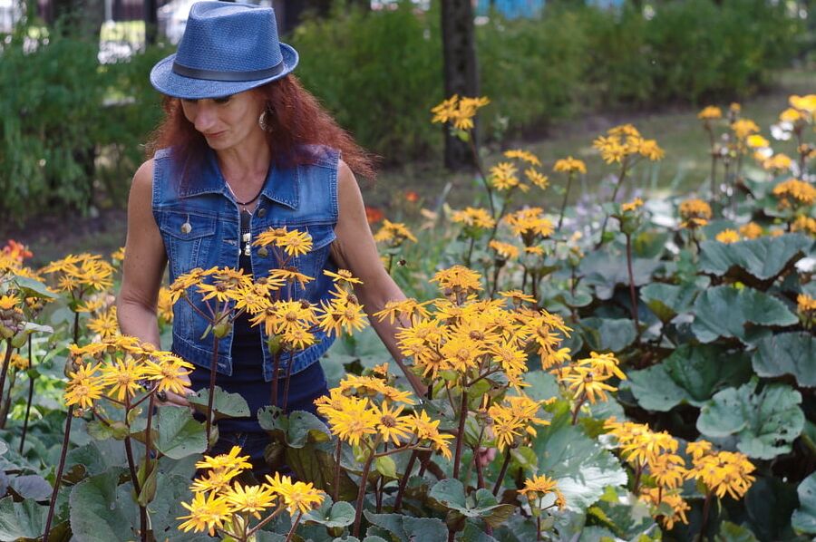In orange flowers 1