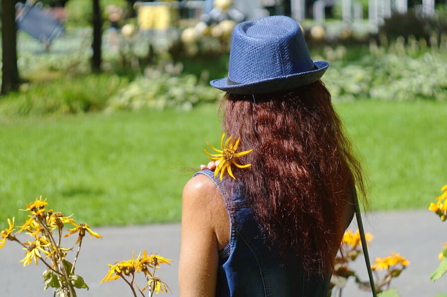 In orange flowers 1