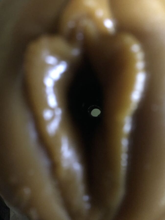 Fleshlight Christening