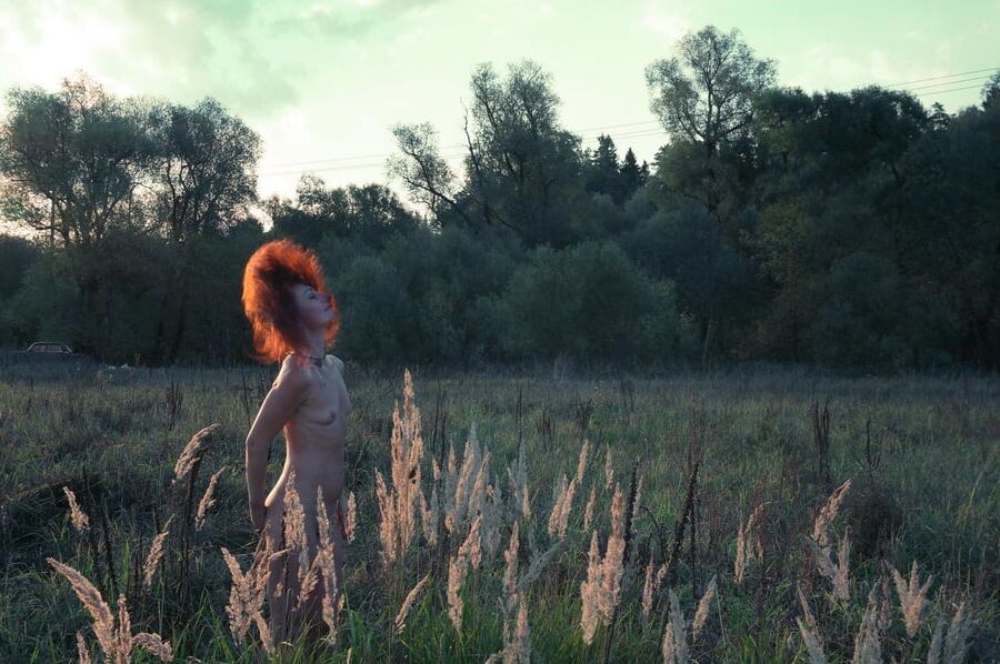In Sunset Rays 2