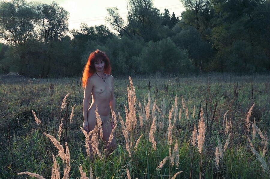 In Sunset Rays 2