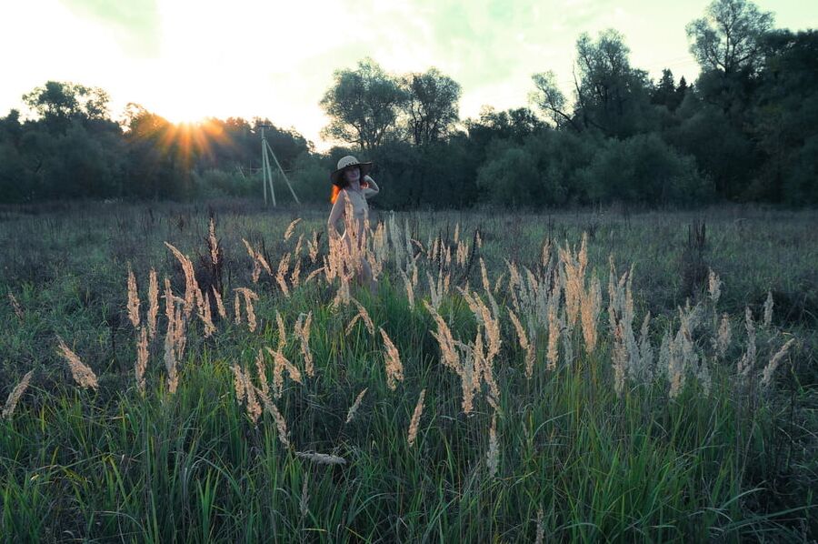 In Sunset Rays 2