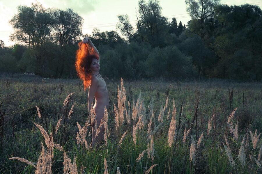 In Sunset Rays 2