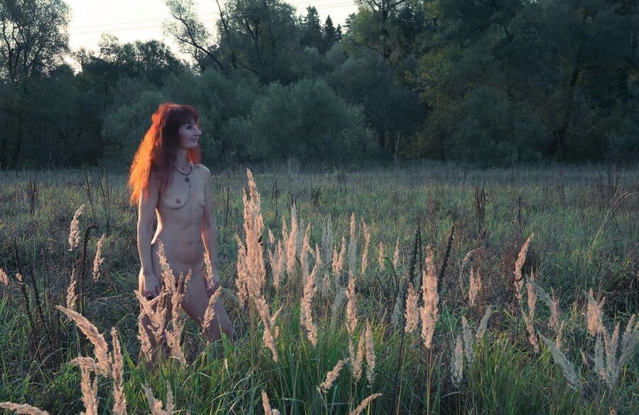 In Sunset Rays 2