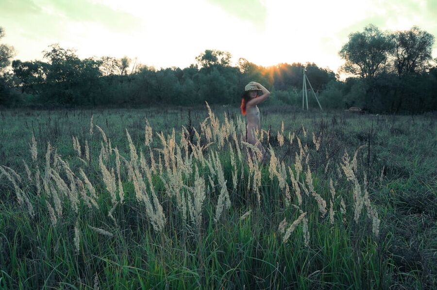 In Sunset Rays 2