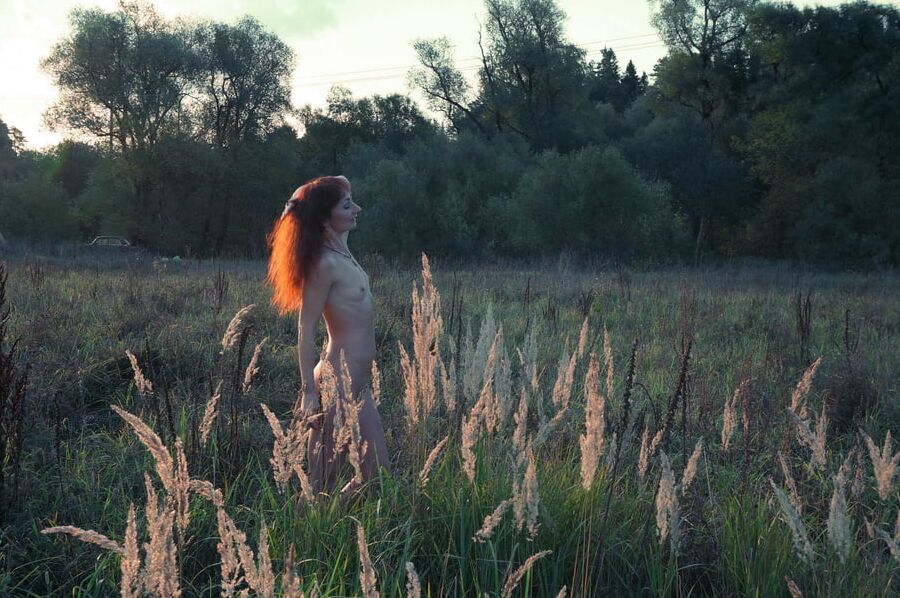 In Sunset Rays 2