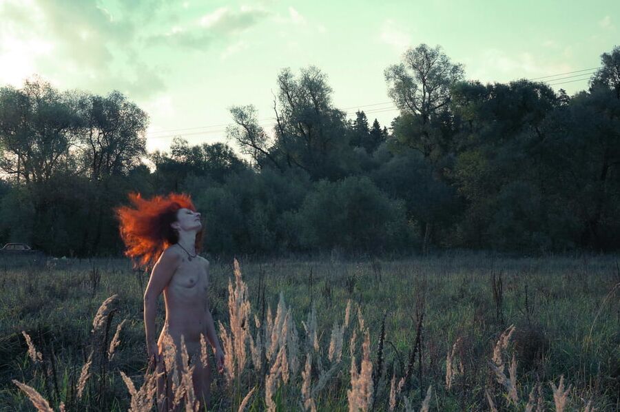 In Sunset Rays 2
