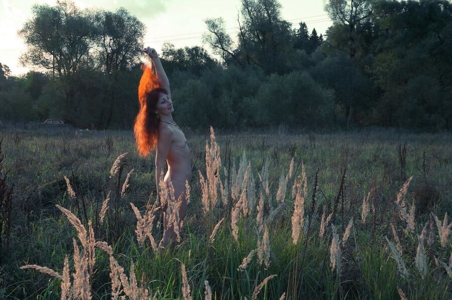 In Sunset Rays 2