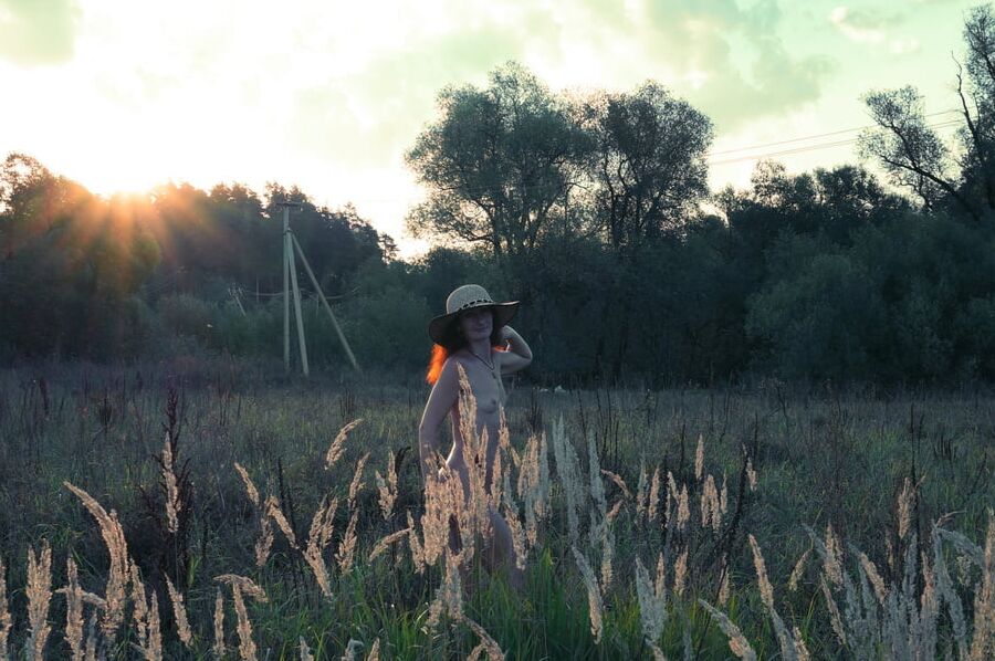 In Sunset Rays 2