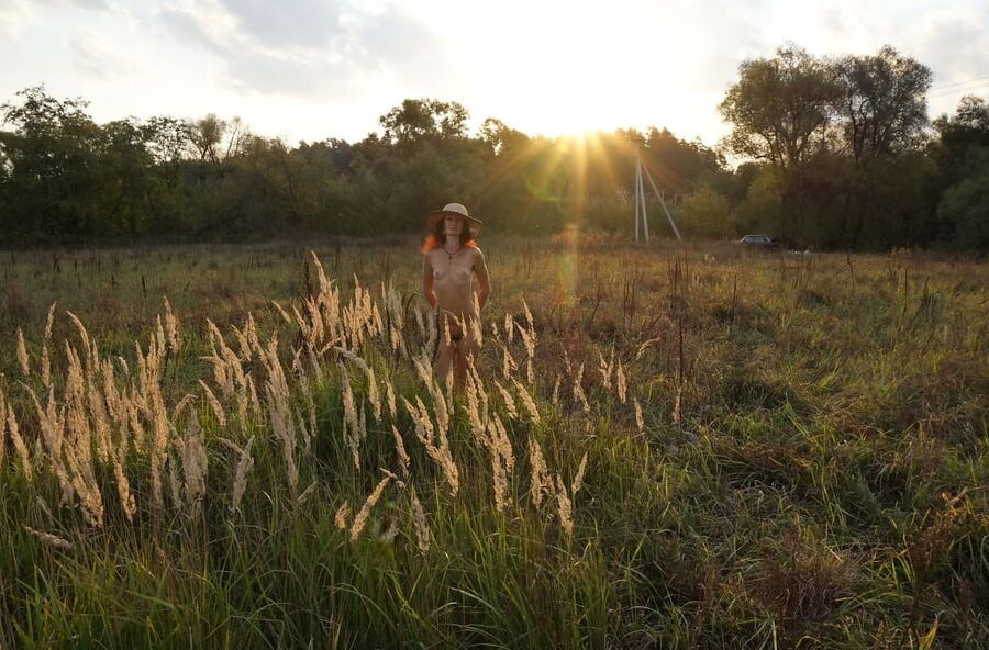 In Sunset Rays