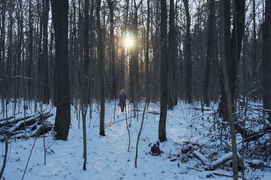 By Sun ray