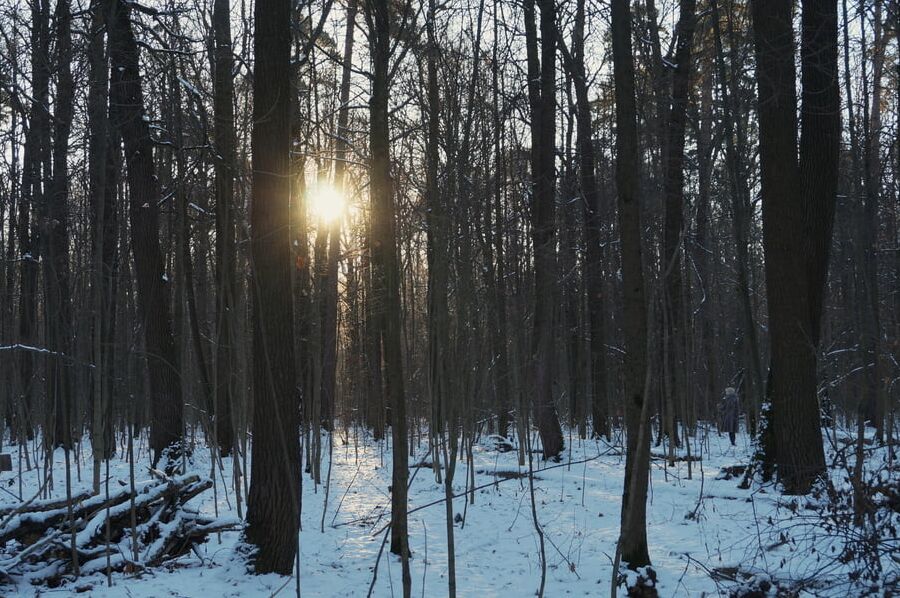 By Sun ray