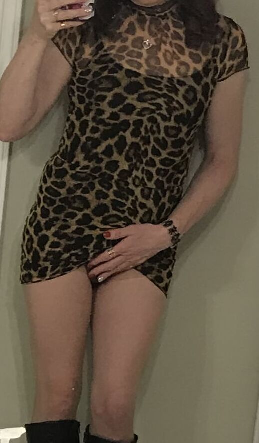 Main pics