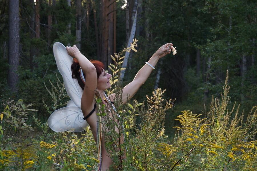 Elf 2