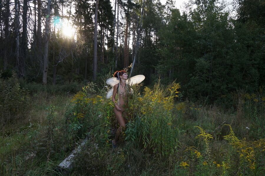 Elf 2