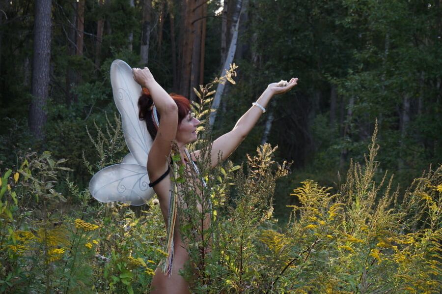 Elf 2