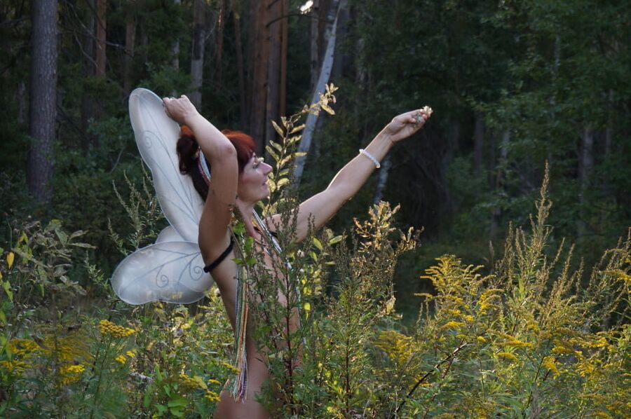 Elf 2