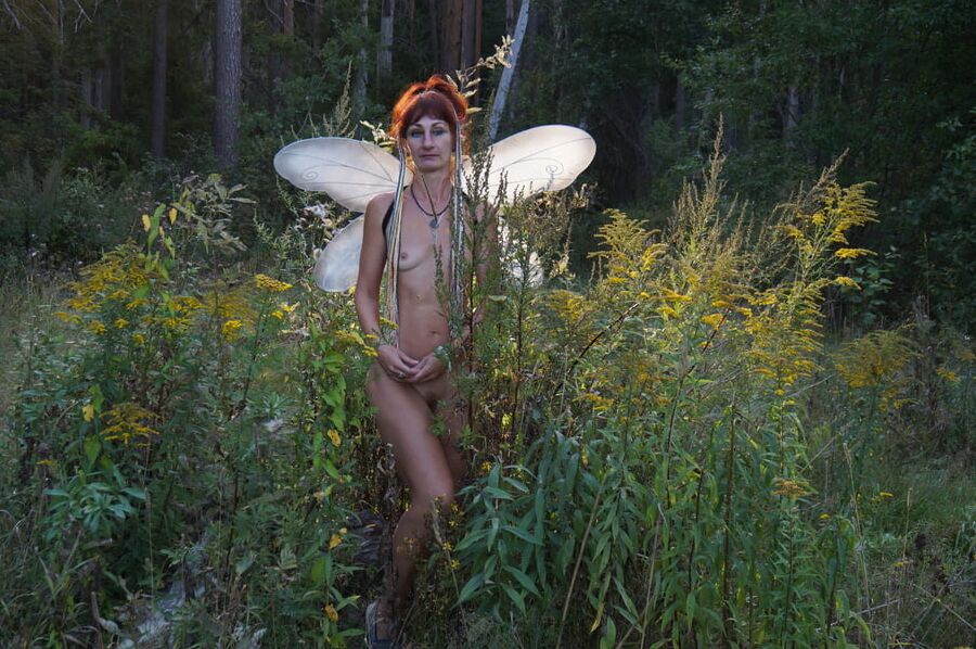 Elf 2