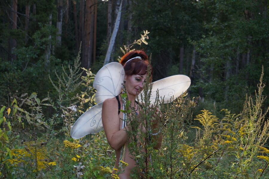 Elf 2