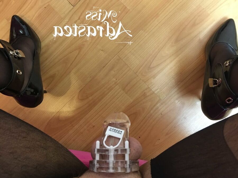 My Chastity Toy
