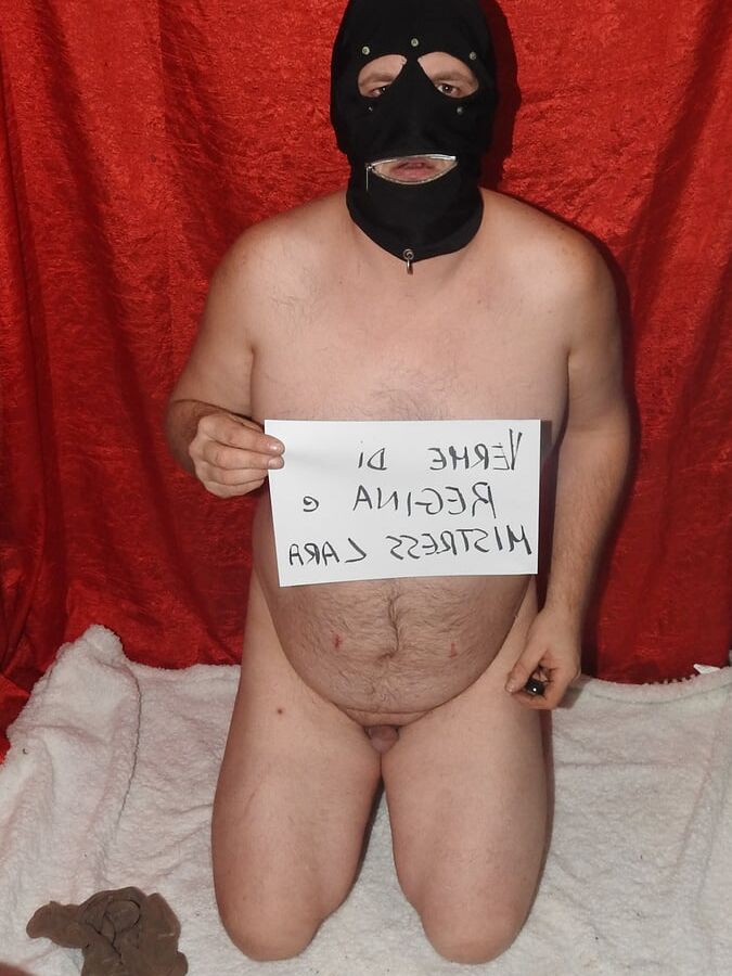 Dirty Collant for Regina