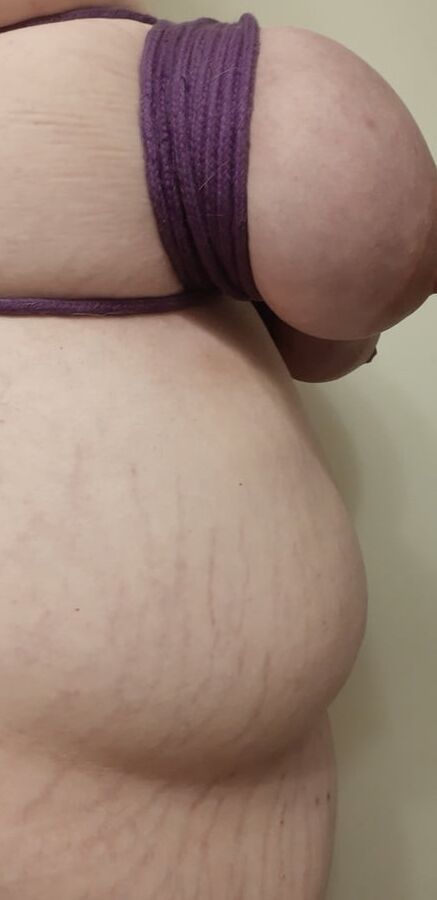 Fat piggy