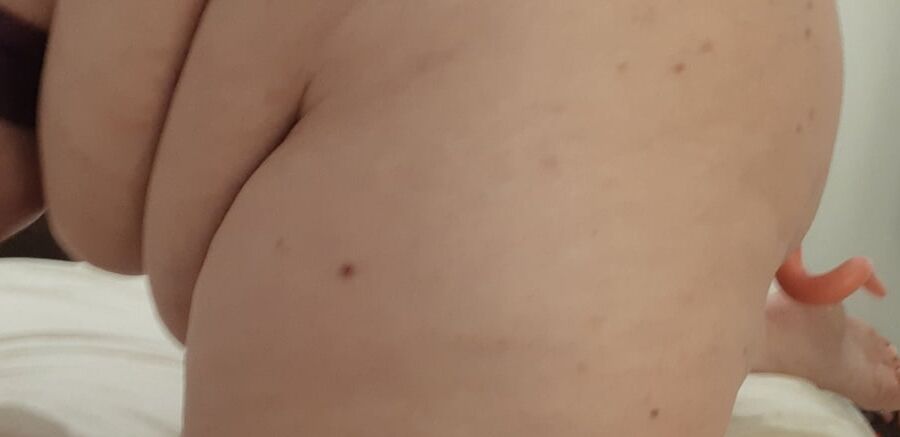 Fat piggy