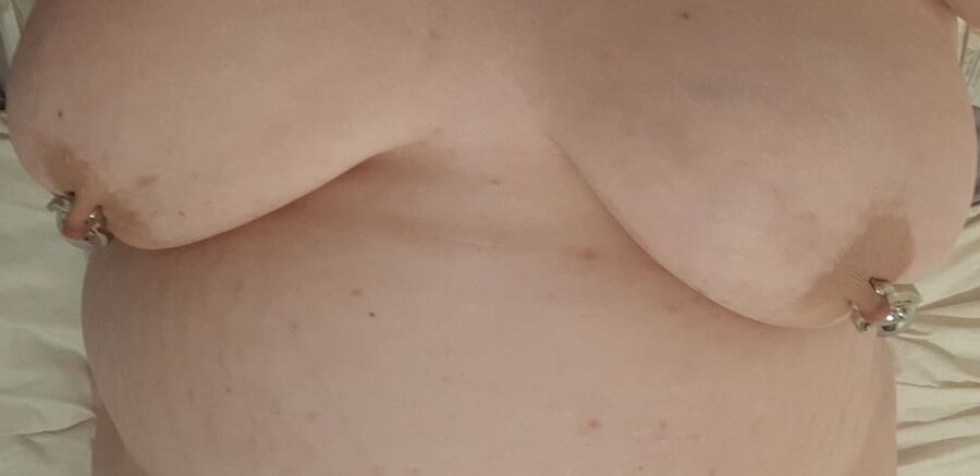 Fat piggy