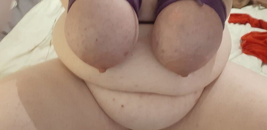 Fat piggy
