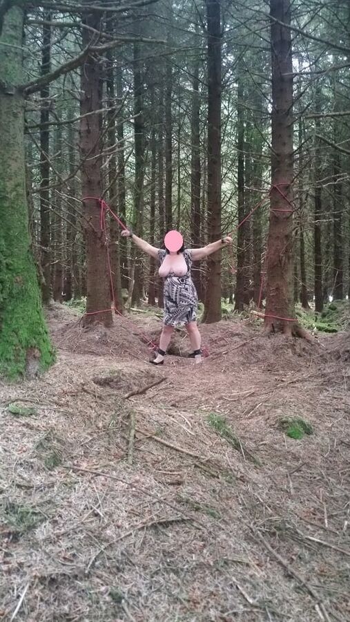 Tied up in the woods. Mrs Julie Cunningham