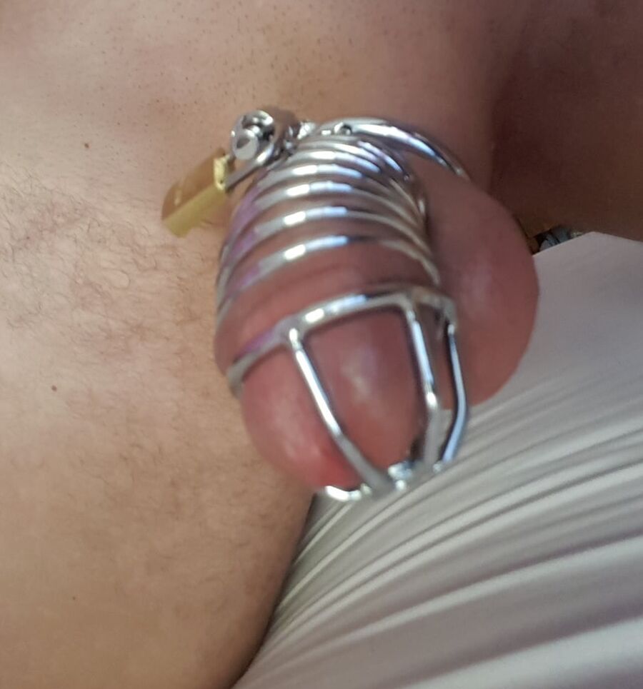 Chastity cock