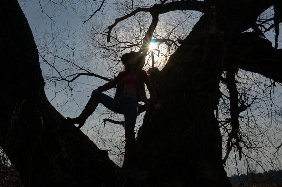 Cowboy's Shadow