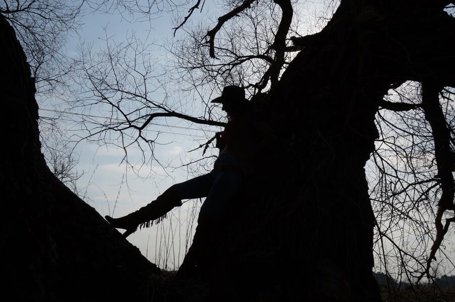 Cowboy's Shadow