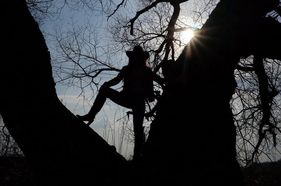 Cowboy's Shadow
