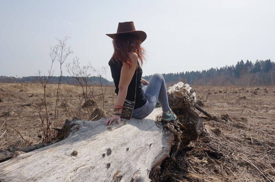 On the old tree