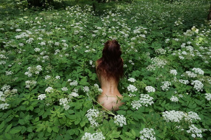 In White Flowers 1
