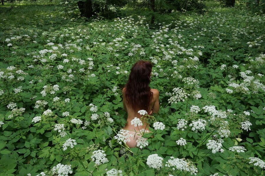 In White Flowers 1