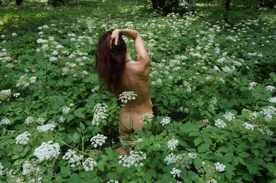 In White Flowers 1