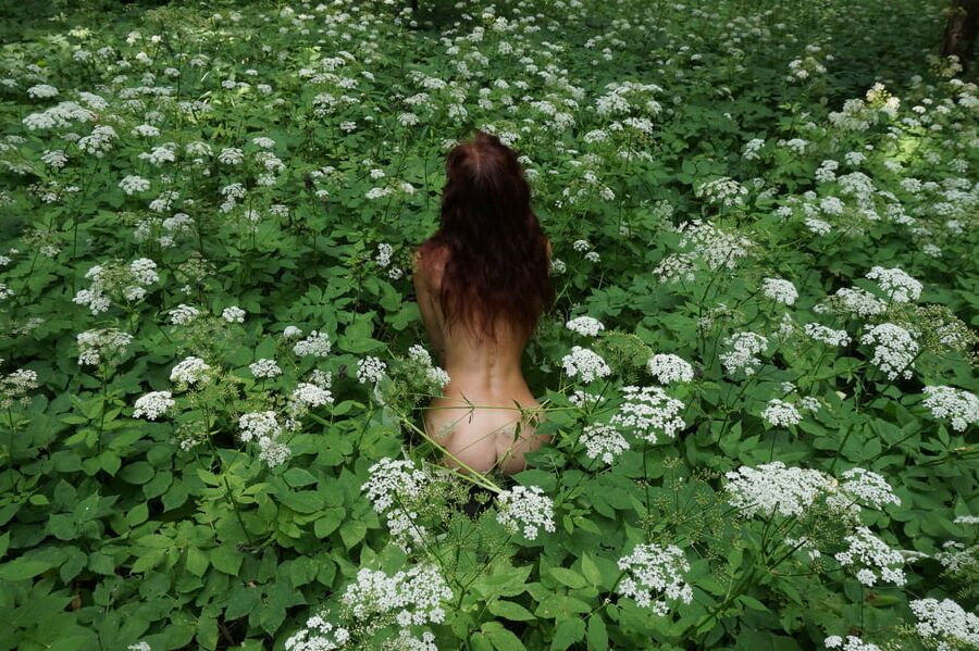 In White Flowers 1