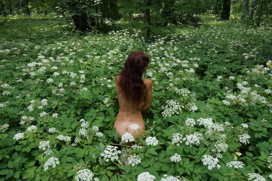 In White Flowers 1