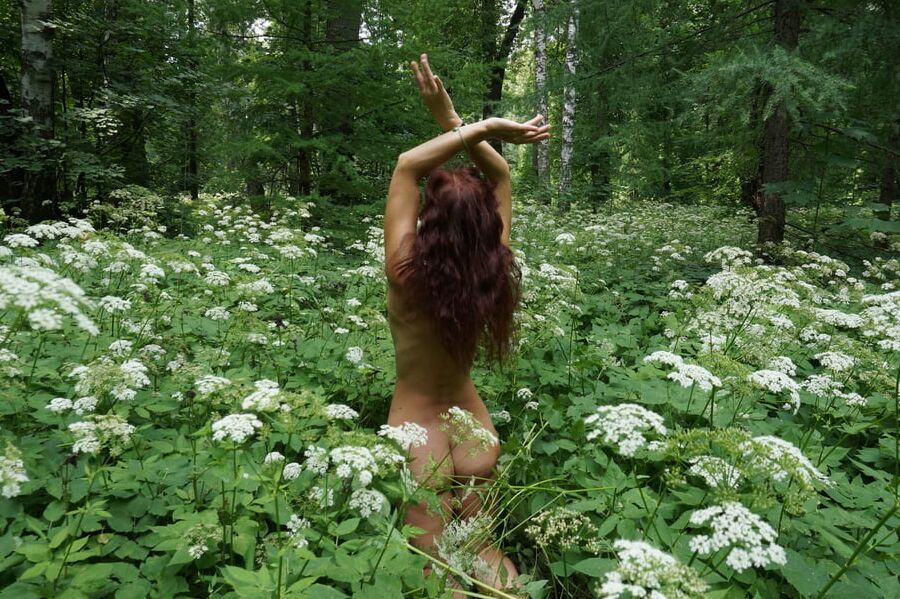 In White Flowers 1