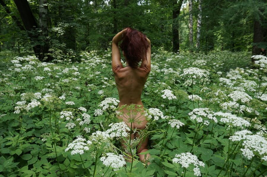In White Flowers 1