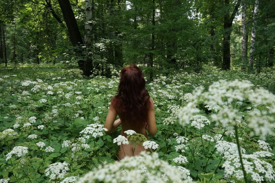 In White Flowers 1